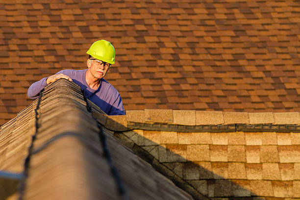 Best Roof Gutter Cleaning  in East Helena, MT
